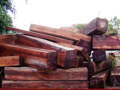 Một phóng viên bị bắt khẩn cấp để điều tra Phóng viên báo Thanh Niên bị bắt do có liên quan đến "bảo kê" gỗ lậu