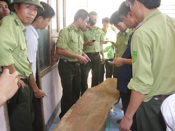 Lộ diện quan chức nghi liên quan vụ gỗ sưa ngàn tỷ Thu giữ thêm 4 tấm gỗ huê