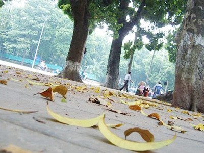 Hôm nay, miền Bắc chuyển mát Hôm nay, miền Bắc chuyển mát