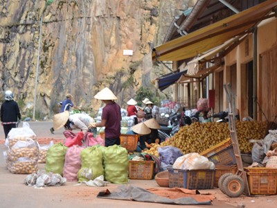Khoai tây Trung Quốc khoác 'áo' Đà Lạt Khoai tây Trung Quốc khoác 'áo' Đà Lạt