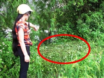 Nữ thẩm phán tự tử gần nghĩa trang Nữ thẩm phán tự tử gần nghĩa trang