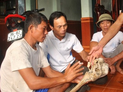 Ngư dân Thanh Hóa vớt được hộp sọ lạ Ngư dân Thanh Hóa vớt được hộp sọ lạ