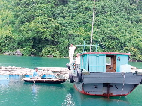 Gặp Robinson tỷ phú ở Vân Đồn Gặp Robinson tỷ phú ở Vân Đồn