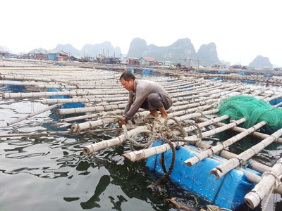 Bão số 2 ảnh hưởng trực tiếp Quảng Ninh - Nam Định Bão số 2 ảnh hưởng trực tiếp Quảng Ninh - Nam Định