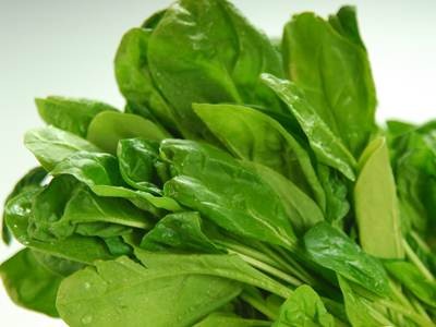 Cây cải bó xôi chữa nhiều bệnh Cây cải bó xôi chữa nhiều bệnh