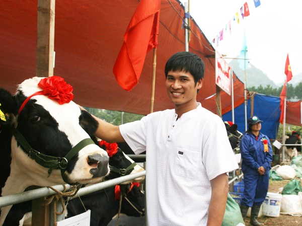 Giấc mơ tỷ phú của chàng trai nuôi bò Giấc mơ tỷ phú của chàng trai nuôi bò