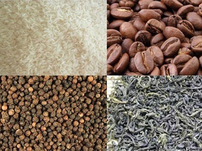 Nông, lâm, thủy sản xuất siêu gần 9 tỷ USD năm 2013 Nông, lâm, thủy sản xuất siêu gần 9 tỷ USD năm 2013