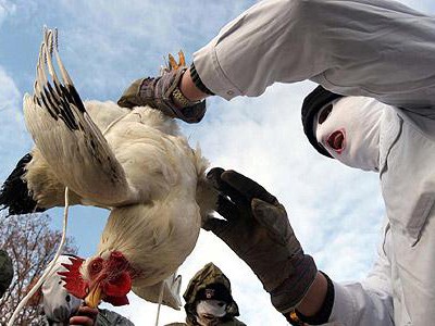 Việt Nam sẵn sàng ứng phó cúm A/H7N9 Việt Nam sẵn sàng ứng phó cúm A/H7N9