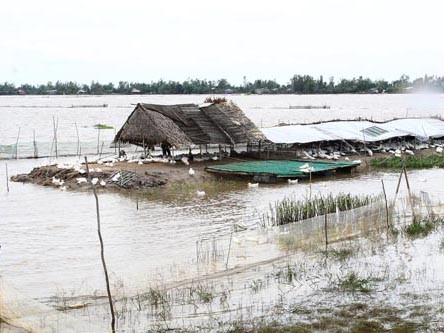 Vỡ đê liên tục, lũ lụt tấn công nhà dân Vỡ đê liên tục, lũ lụt tấn công nhà dân