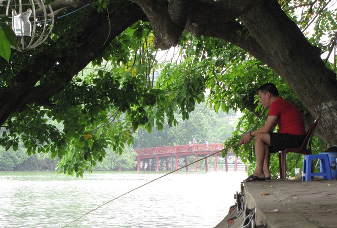 Lưỡi câu chùm lại đe dọa 'cụ' Rùa Ngồi ghế nhựa, uống trà đá thản nhiên câu cá ở Hồ Gươm. Ảnh: Trường Phong