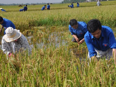 'Hướng về miền Tây' giúp dân nghèo 'Hướng về miền Tây' giúp dân nghèo