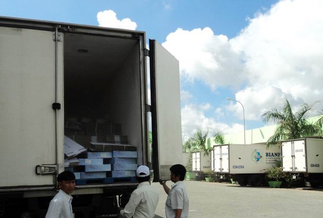 Cty Bình An hoạt động trở lại Chuyến xe đầu tiên chở 13 tấn cá nguyên liệu của Nhật Bản, có mặt tại Nhà máy giá trị gia tăng của Cty Bình An sáng 4-5