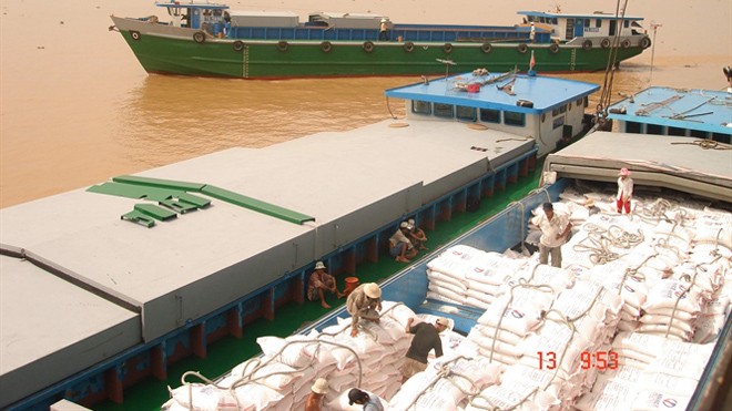 Thương lái tăng thu mua gạo xuất sang Trung Quốc Đưa gạo xuống tàu