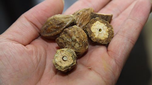 Bài thuốc Đông y chữa viêm họng Ảnh minh họa.