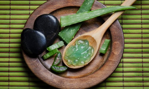 4 tác dụng của lô hội trong việc giảm cân Ảnh minh họa