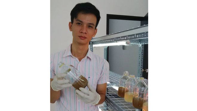 Chàng trai 9X quê Phú Yên chinh phục đông trùng hạ thảo Ngô Kim Lai trong phòng thí nghiệm nuôi trồng đông trùng hạ thảo ở công ty.