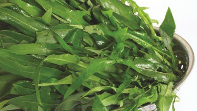 Bài thuốc thanh nhiệt, giúp tiêu hóa tốt Bồ công anh
