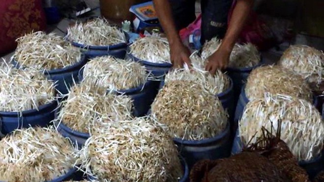 Bắt quả tang cơ sở dùng hoá chất để sản xuất giá đỗ Giá đỗ được sử dụng hóa chất để sản xuất. Ảnh: Vnexpress