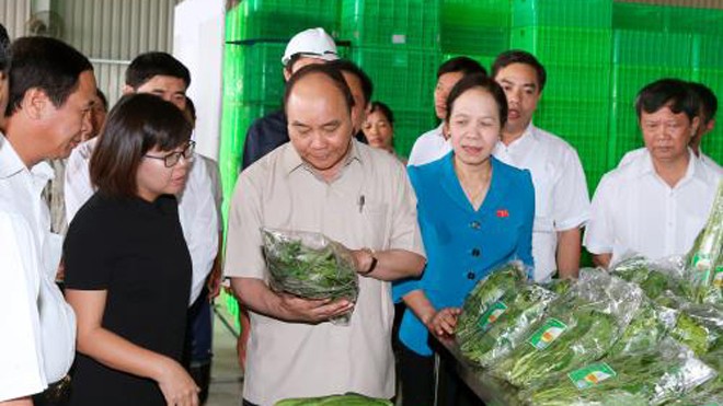 Thủ tướng thăm Dự án đầu tư Nông nghiệp ứng dụng công nghệ cao VinEco- Hải Phòng Thủ tướng Nguyễn Xuân Phúc đến thăm Dự án đầu tư Nông nghiệp ứng dụng công nghệ cao Vineco Hải Phòng. Ảnh: Thống Nhất-TTXVN