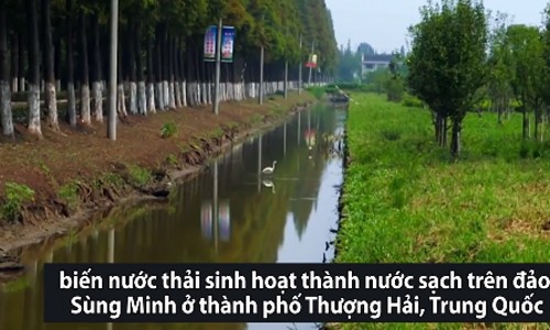 Công nghệ biến nước thải sinh hoạt thành nước sạch Công nghệ biến nước thải sinh hoạt thành nước sạch