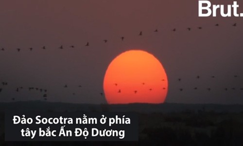 Hòn đảo được mệnh danh là vùng đất ngoài hành tinh Hòn đảo được mệnh danh là vùng đất ngoài hành tinh