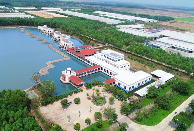 Một vòng khám phá trang trại ‘thông minh’ của Vinamilk Resort Bò sữa Vinamilk – “Resort” lý tưởng cho những cô bò hạnh phúc