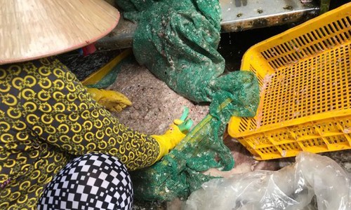 Chuyện lạ miền Tây: Tranh nhau mua vảy cá với giá 'trên trời' Từ đồ bỏ đi, vảy cá được thu gom để bán.