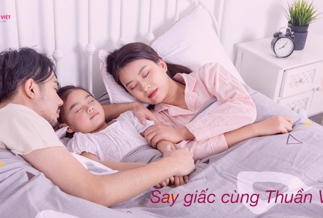Nệm Thuần Việt ra mắt thị trường hai dòng sản phẩm mới Nệm Thuần Việt ra mắt thị trường hai dòng sản phẩm mới