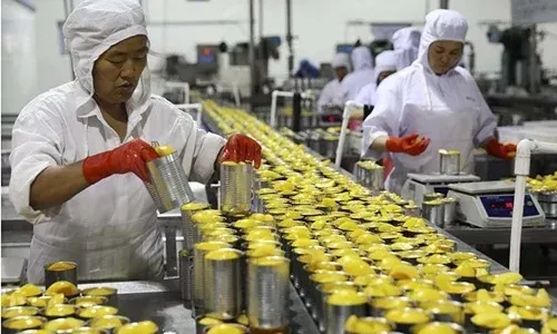 Công ty Trung Quốc chật vật sinh tồn dưới đòn thuế của Mỹ Công nhân tại một nhà máy chế biến nước đào ép ở Hoài Bắc, tỉnh An Huy, Trung Quốc ngày 31/8/2018. Ảnh: AFP.