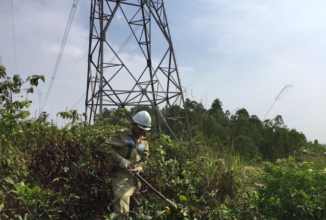 Chính phủ gỡ khó chậm giải phóng mặt bằng cho dự án 500 kV mạch 3 Giải phóng mặt bằng là vấn đề vướng mắc nhất với Cụm dự án ĐZ 500kV mạch 3