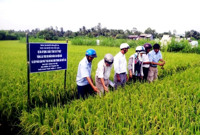 Năm 2019 – Nông nghiệp chủ động đương đầu biến đổi khí hậu Áp dụng 3 giảm, 3 tăng và kỹ thuật trồng lúa SRI nhằm nâng cao hiệu quả và giảm phát thải khí nhà kính trong sản xuất lúa