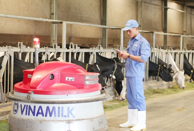 Vinamilk và chiến lược xây dựng đội ngũ kế thừa tài năng Anh Trần I Giôn hiện đang công tác tại Trang trại bò sữa Tây Ninh của Vinamilk
