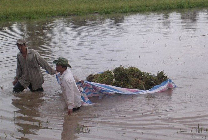 An Giang chỉ đạo ứng phó liên quan sự cố vỡ đập ở Lào An Giang chỉ đạo ứng phó liên quan sự cố vỡ đập ở Lào