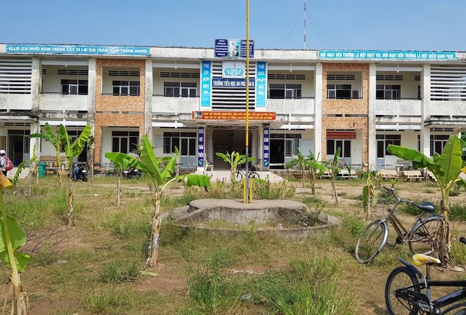 Tranh chấp đất đai, trường học bị quấy rối Sân của Trường Tiểu học An Phú Tân B được trồng đầy chuối khiến học sinh không có nơi vui chơi