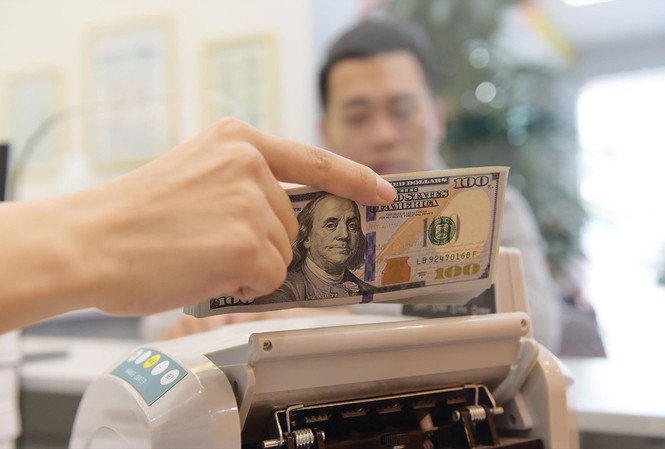 Dòng kiều hối tăng: Tin vào sự ổn định của nền kinh tế Việt Nam Dự kiến năm 2019, lượng kiều hối về TPHCM đạt 5,3 tỷ USD
