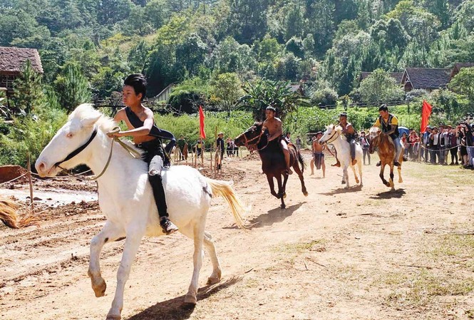 Chinh phục cao nguyên trên lưng ngựa Pha-rô Đua ngựa không yên trên cao nguyên