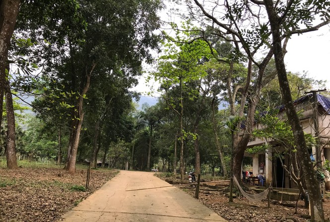 'Suối Ngọc - Vua Bà' - vì sao hoang tàn? Cảnh hoang tàn của khu du lịch Suối Ngọc - Vua Bà