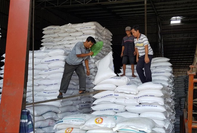 Nhiều DN xuất khẩu gạo gặp khó với việc hệ thống mở tờ khai hải quan lúc nửa đêm - Ảnh: Phương Chăm