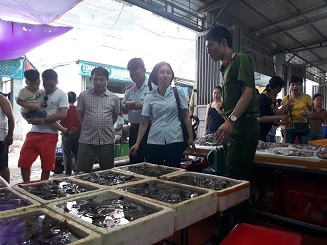 Thu giữ lượng lớn tôm căng, mập bất thường do bơm chất độc hại Thu giữ lượng lớn tôm căng, mập bất thường do bơm chất độc hại
