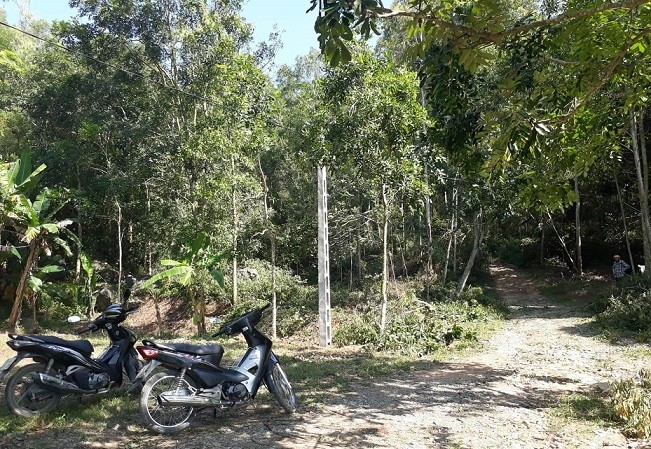 'Xẻ thịt' rừng đặc dụng, thi công đường điện trên đất công trái phép Hiện trường thi công đường điện