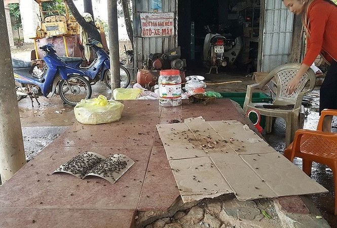 Doanh nghiệp dùng phân bón cây, dân kêu trời vì ô nhiễm Ruồi, nhặng bâu kín các đồ vật trong nhà làm cuộc sống của hàng trăm hộ dân bị đảo lộn