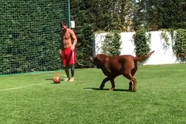 Clip: Messi phô diễn kỹ thuật cá nhân điêu luyện bên cạnh cún cưng Clip: Messi phô diễn kỹ thuật cá nhân điêu luyện bên cạnh cún cưng