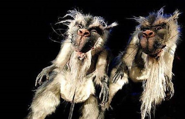 Bunyip, loài quái vật đã tuyệt chủng ở Australia Bunyip, loài quái vật đã tuyệt chủng ở Australia