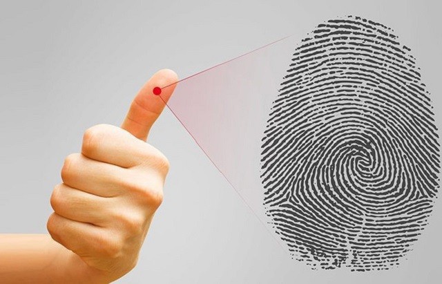Vì sao chúng ta có dấu vân tay? Vì sao chúng ta có dấu vân tay?