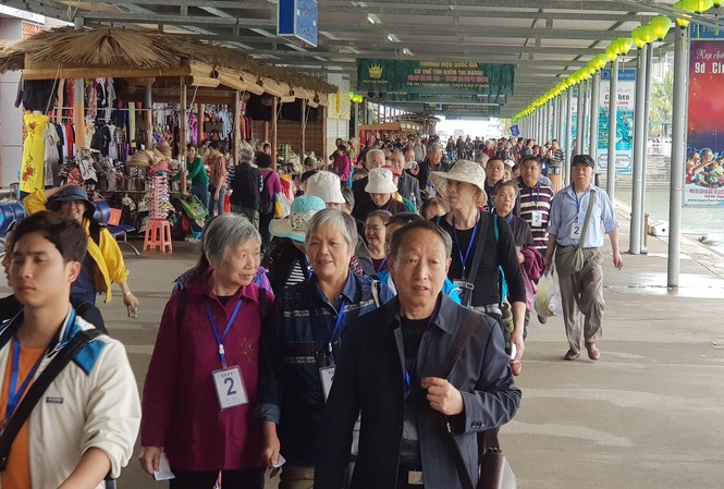 Nguy hại tour giá rẻ Một lượng du khách Trung Quốc ồ ạt vào Việt Nam qua tour giá rẻ
ảnh: HOÀNG DƯƠNG