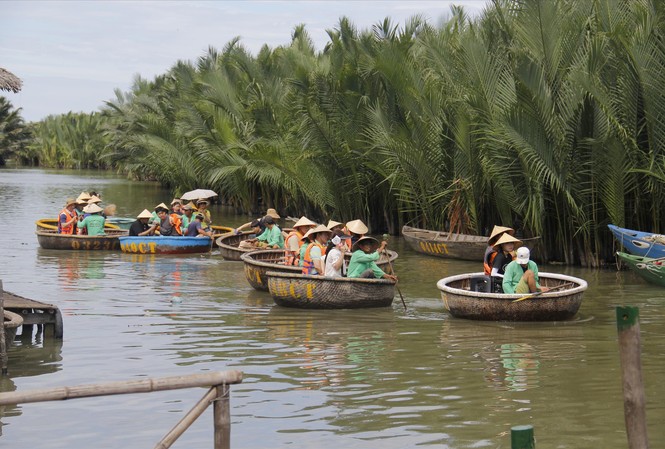 Bẻ lá dừa làm quà tặng cho du khách sẽ bị xử phạt Mỗi ngày rừng dừa Bảy Mẫu đón cả ngàn lượt du khách đến tham quan Ảnh: Thanh Trần