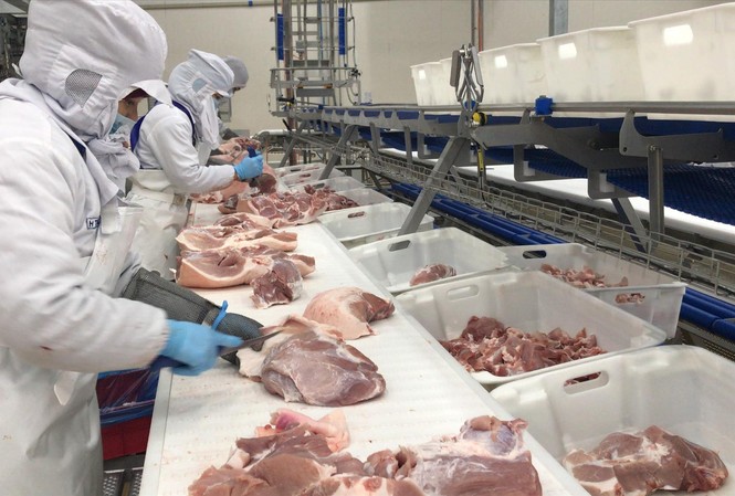 Lãnh đạo Bộ NN&PTNT cho biết sẽ thanh tra về giá thịt lợn tại một số DN Ảnh: Bình Phương