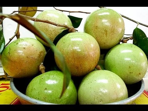 6 loại quả thuần Việt không bao giờ nhập khẩu từ Trung Quốc Ảnh minh hoạ: Internet