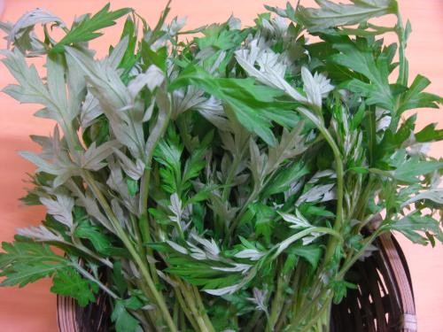 3 bài thuốc đơn giản trị đau nhức xương khớp tuyệt hay Ảnh minh hoạ: Internet