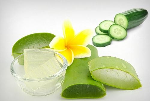Nha đam - 'Thần dược' cho sức khỏe Ảnh minh hoạ: Internet
